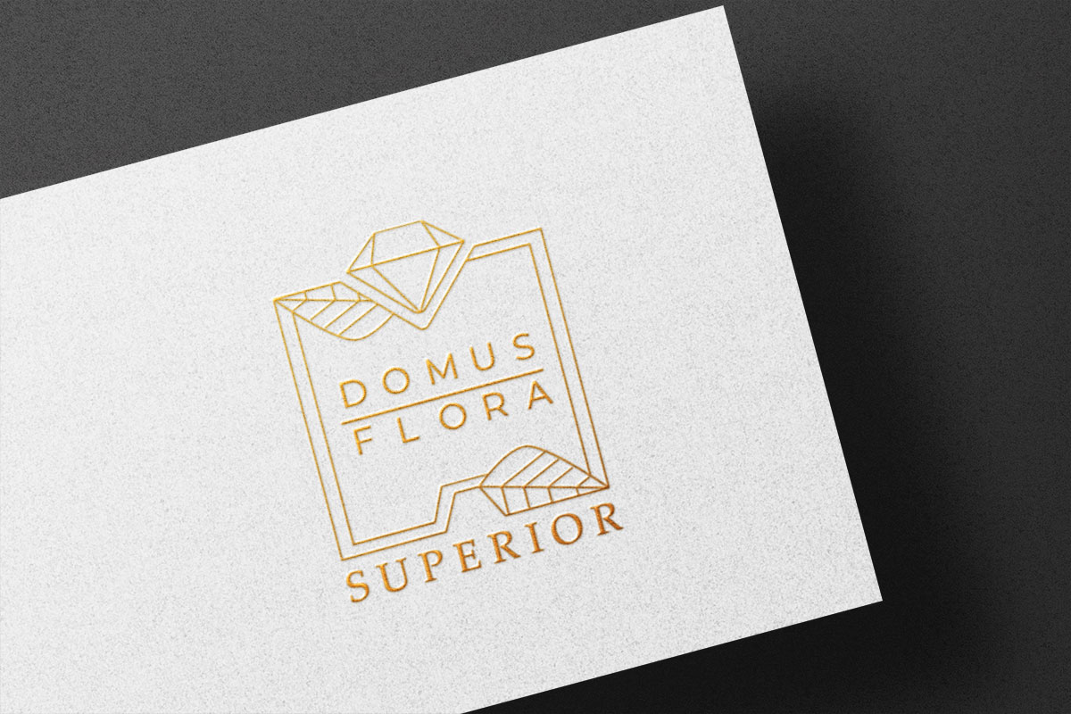 Logo Domus Superior per iniziativa immobiliare